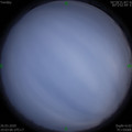 1585224172.jpg