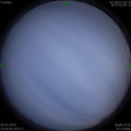 1585224232.jpg