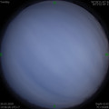1585224352.jpg