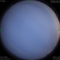 1585225613.jpg