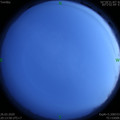 1585228419.jpg
