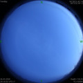 1585228539.jpg