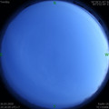 1585228795.jpg