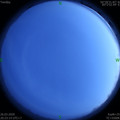 1585228975.jpg