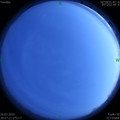 1585229230.jpg