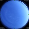 1585229350.jpg