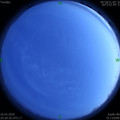 1585229410.jpg