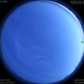 1585229485.jpg