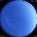 1585229605.jpg