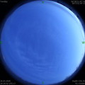 1585229665.jpg