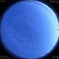 1585229725.jpg