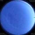 1585229860.jpg