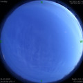 1585229980.jpg