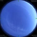 1585230175.jpg