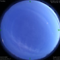 1585230310.jpg