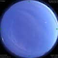 1585230521.jpg