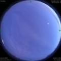 1585230700.jpg