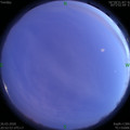 1585230776.jpg
