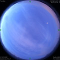 1585263822.jpg