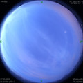 1585264017.jpg
