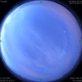 1585264092.jpg