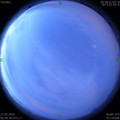 1585264182.jpg
