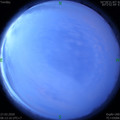 1585264392.jpg