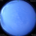 1585264602.jpg