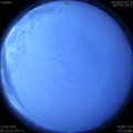 1585264752.jpg