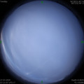1585268444.jpg