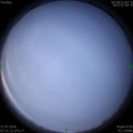 1585269059.jpg