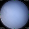 1585269239.jpg
