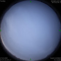 1585269419.jpg