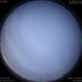 1585269599.jpg