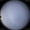 1585272781.jpg
