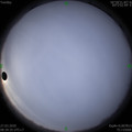1585273156.jpg