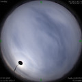 1585282355.jpg