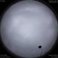 1585296742.jpg