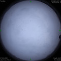 1585308482.jpg