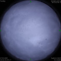 1585312534.jpg