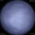 1585312654.jpg