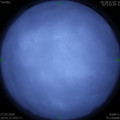 1585313630.jpg