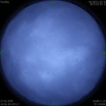 1585313810.jpg