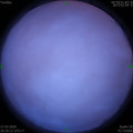 1585315220.jpg