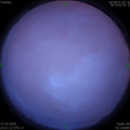 1585315280.jpg