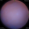 1585315716.jpg