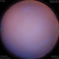 1585315776.jpg