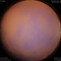 1585316451.jpg