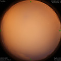 1585350348.jpg