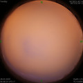 1585350528.jpg